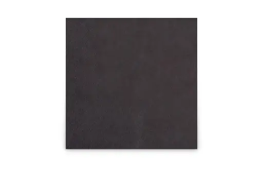 [AG176] Servietten Schwarz 2-lagig 24 x 24 cm 1/4-Falz 3600 Stück/Karton
